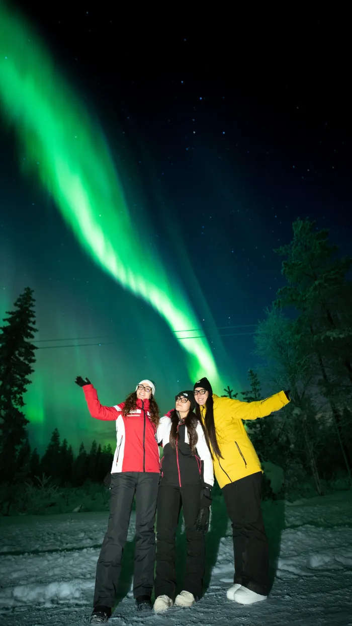 Three guests pointing at a green aurora beam