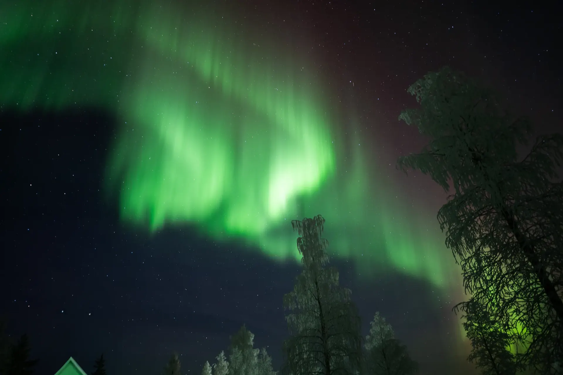 Aurora borealis over untouched Lapland forest